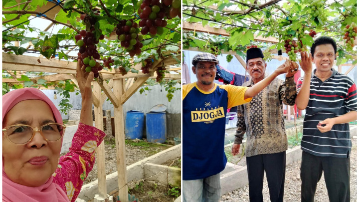 Pupuk Organik CIBAN untuk Petani di Nagari Kapalo Hilalang Padang Pariaman