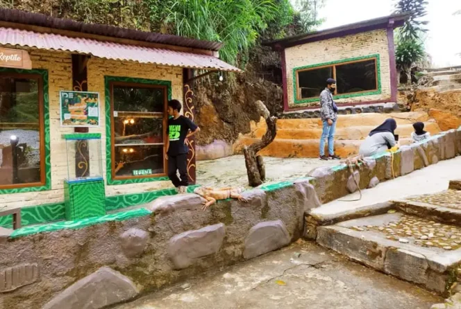 
					<em>Pengunjung melihat koleksi satwa di Mini Zoo Taman Satwa Kemuning pada Minggu (26/1/2025). (Image courtesy: Solopos)</em>