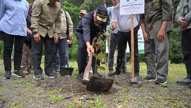 
					<em>Gubernur lakukan penanaman pohon serentak di kawasan Lembah Anai. (Foto: Adpim Sumbar)</em>