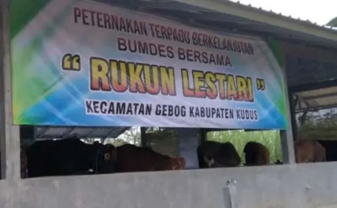 
					Kudus Tunggu Petunjuk Teknis Terkait Alokasi 20% Dana Desa untuk BUMDes