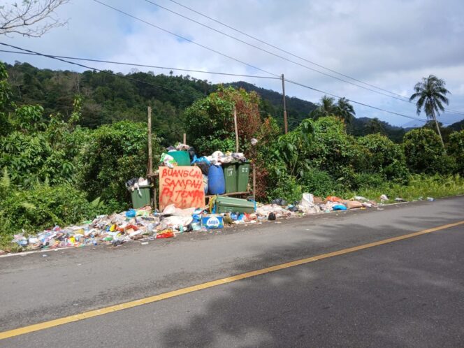 
					<em>Titik pembungan sampah di Desa Tarempa Selatan yang tidak terurus. Dishub-LH kini berkobalorasi dengan desa atau kelurahan untuk mengatasi masalah sampah.</em>