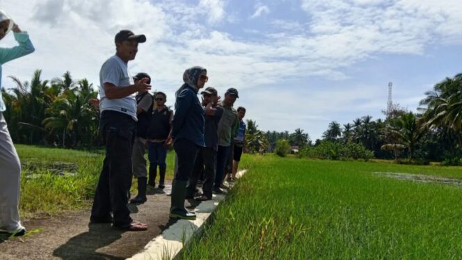 
					<em>Bupati Pangandaran Citra Pitriyami saat memantau sawah di Cimerak terendam air laut. (Istimewa)</em>