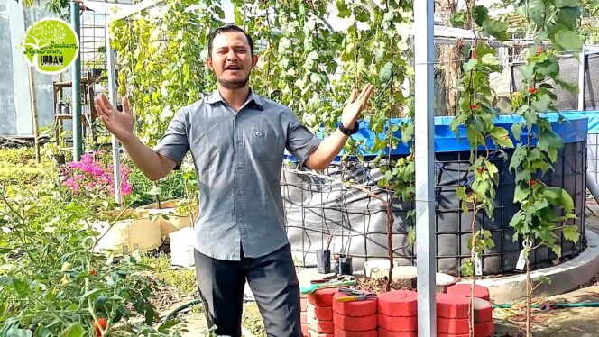 
					Petani Milenial Aceh Gebrak PF Muda dengan Hidroganik!