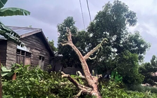 
					<em>Kondisi rumah Muhammad Amar di Desa Sawadai, Kecamatan Bacan Selatan, Halmahera Selatan, yang mengalami kerusakan akibat terjangan angin kencang pada Jumat (4/4/2025) dini hari. (Image courtesy: Ketik.co.id)</em>