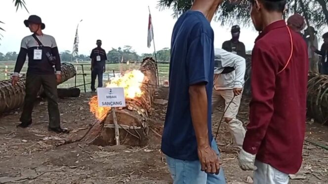 
					<em>Meriam kayu atau kuluwung berukuran besar menjadi daya tarik utama dalam Festival Kuluwung di Kecamatan Jonggol, Kabupaten Bogor, Kamis (3/4/2025). Festival ini merupakan tradisi tahunan yang melibatkan adu dentuman karbit antar desa.</em>