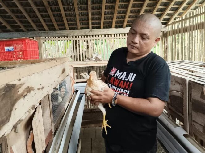 
					<em>Kepala Desa Grenggeng, Eri Listiyawan, menunjukkan bibit ayam Joper yang menjadi awal upaya desa dalam mewujudkan ketahanan pangan dan kemandirian ekonomi melalui budidaya komunal.</em>