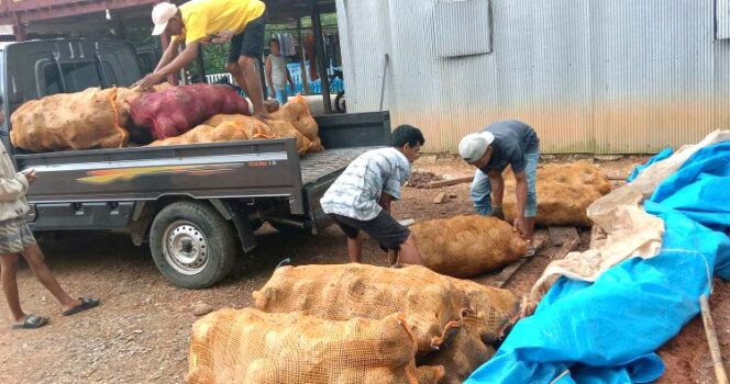 
					<em>Hasil tanaman Porang dari warga Tondong Tallasa warga siap jual di Desa Bantimurung Kecamatan Tondong Tallasa</em>