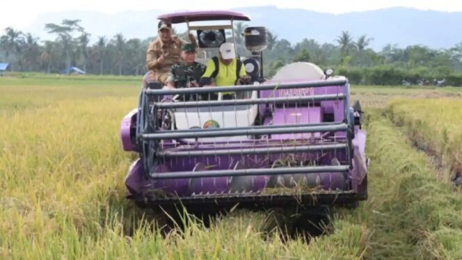 
					<em>Bupati Malang HM. Sanusi (kiri) saat menghadiri serangkaian agenda panen raya padi serentak di 14 provinsi yang dipimpin Presiden Prabowo Subianto pada Senin (7/4/2025).</em>