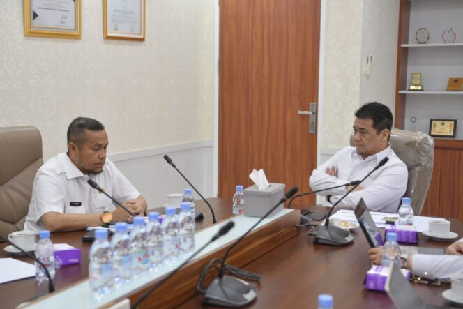 
					<em>Bupati Buru Selatan, La Hamidi (kiri), menyampaikan potensi daerahnya kepada Wakil Menteri Desa dan Pembangunan Daerah Tertinggal, Ahmad Riza Patria (kanan), di Jakarta.</em>