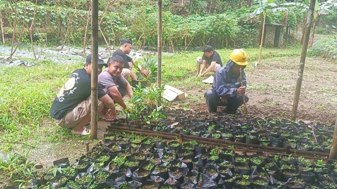 
					Pekalongan Bangkit, LKPP Ajak Warga Rawat Bibit Tanaman untuk Pulihkan Alam Pasca Bencana