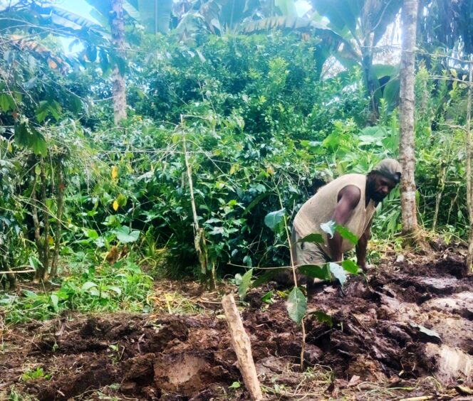 
					Sensus Pertanian 2025: Petani Soroti Bantuan Tepat Sasaran