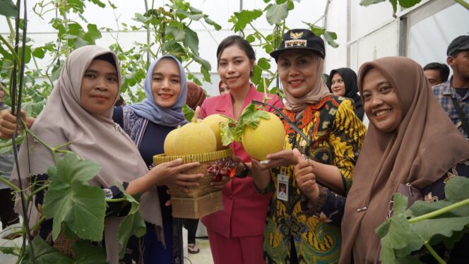 
					<em>Bupati Kendal, Dyah Kartika Permanasari, meninjau panen melon di screen house smart farming Desa Kalibareng.</em>
