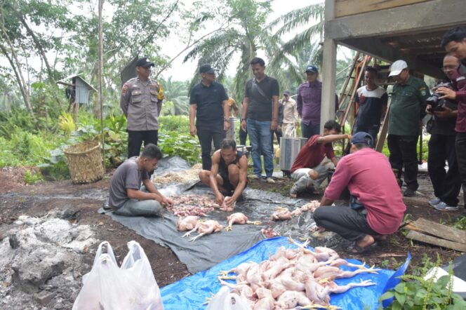 
					Wakil Bupati Bengkalis, H. Bagus Santoso, saat meninjau langsung lokasi usaha peternakan ayam potong milik BUM Desa Pangkalan Batang Barat, Kamis, 29 Mei 2025.