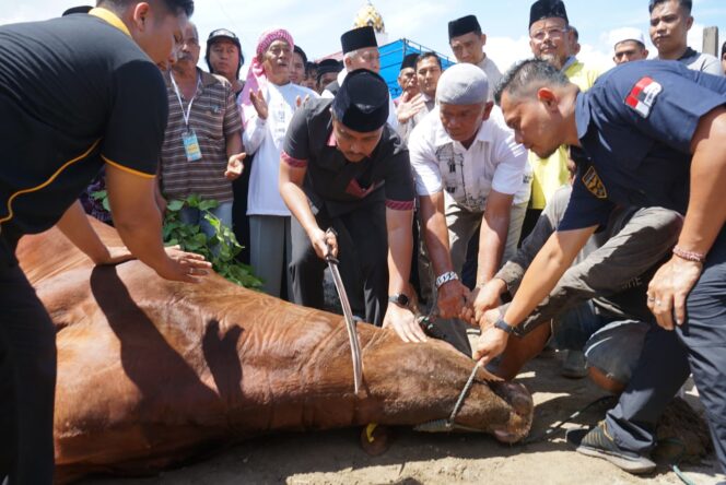 
					Presiden Prabowo Beri Sapi Kurban, Ponpes Minangkabau Berkah Berlipat
