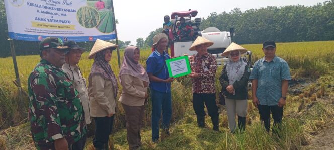 
					Panen Raya dan Santunan di Desa Karangharja: Wujud Manunggal TNI Bersama Rakyat
