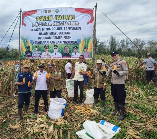 
					Polsek Betung Panen Jagung Perdana, Dukung Ketahanan Pangan