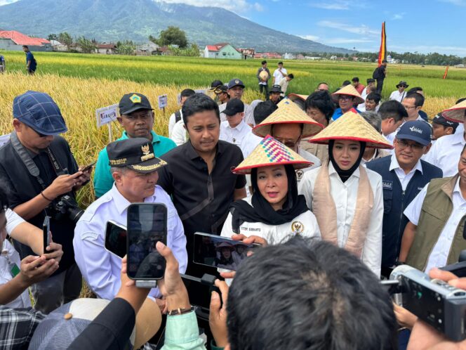 
					Sawah Pokok Murah: Inovasi Pertanian Sumbar Dilirik Nasional