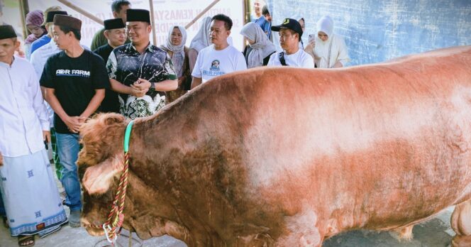 
					Bupati Tegal Ischak Maulana Rohman (kiri) secara simbolis menyerahkan sapi kurban bantuan kemasyarakatan dari Presiden Prabowo Subianto kepada panitia kurban Masjid Al-Fath Kesambi, Desa Prupuk Selatan, Jumat (6/6/2025).