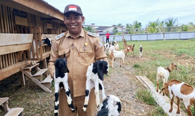 
					Keuchik Kuta Padang Safrizal (Ngoh Jal) memperlihatkan anak kambing budidaya di kawasan Agro Wisata Gampong Kuta Padang, Johan Pahlawan, Aceh Barat, Senin, 16/6/2025. (Image courtesy:  RRI)