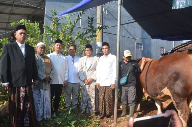 
					Bupati Batang M. Faiz Kurniawan (kiri) menyerahkan sapi kurban 