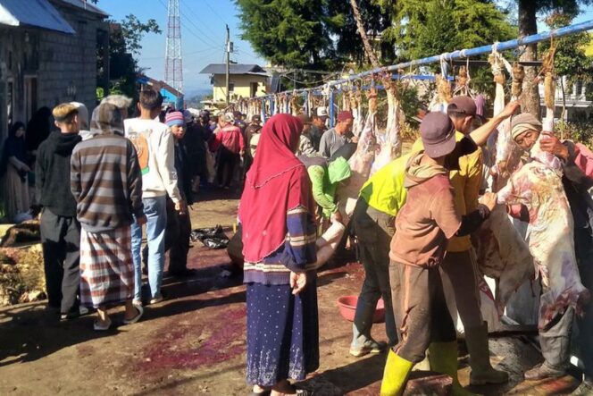 
					Proses pemotongan ratusan hewan kurban yang disembelih warga Desa Batur, Kecamatan Batur, Kabupaten Banjarnegara, Jawa Tengah, pada Hari Raya Idul Adha 1446 Hijriyah, Jumat (6/6/2025).(Image courtesy: Pemdes Batur)
