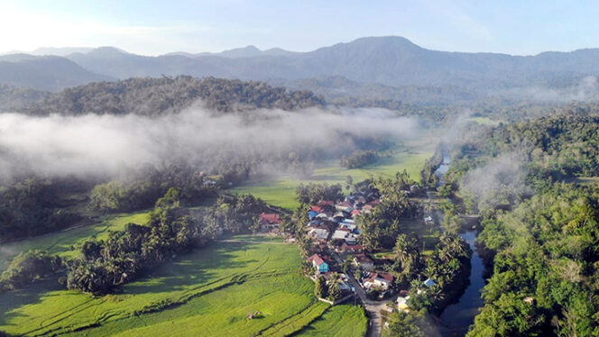 
					BUMDes Bungo: Raih Miliaran dari Karbon Hutan