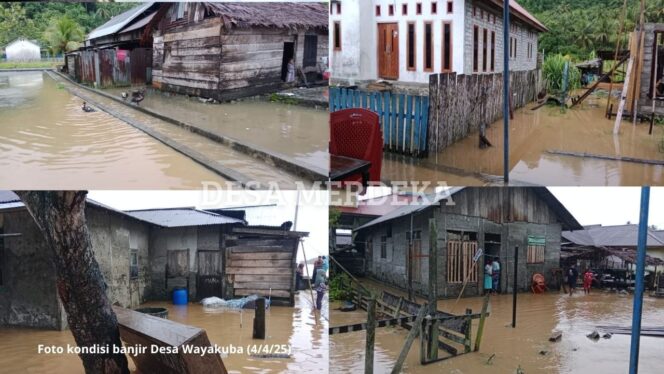 
					Warga Wayakuba Merana, Pemda Halsel dan BPBD Tutup Mata atas Nestapa Banjir Ratusan Juta Rupiah!