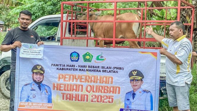 
					Jelang Idul Adha 2446 Hijriah, Desa Pigaraja Terima Hewan Qurban Dari PHBI Halsel