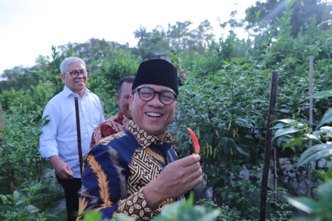 
					Desa Kemiri Panen Cabai: Dana Desa Tingkatkan Ketahanan Pangan!