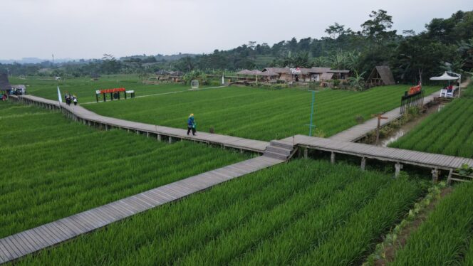 
					Desa Wisata: Kunci Keberlanjutan Ada di Tangan Masyarakat