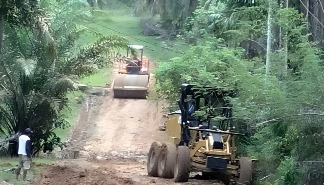
					BUMDes Pir Trans Sosa V: Anggaran Mandiri Perbaiki Jalan Desa