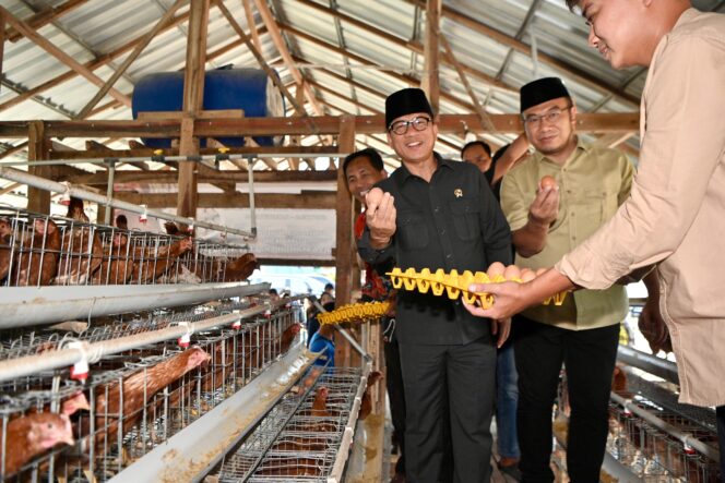 
					Mendes PDT Panen Melon Sragen: BUMDesa Kaliwedi Jadi Percontohan Nasional!