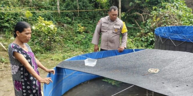 
					Polres Madiun Dukung Ketahanan Pangan, Budidaya Ikan Nila Subur!