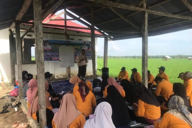 
					Salah satu kegiatan ketahanan pangan menggunakan dana desa di lahan persawahan Siialang Nagari Bunuik Kecamatan Kinali beberapa waktu lalu. (DPMN Pasaman Barat.)