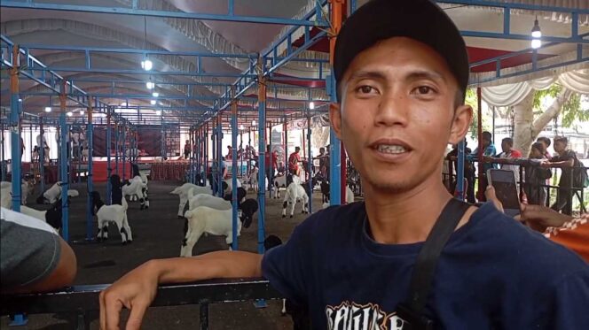 
					Anak Muda Jangan Malu! Ternak Kambing Seni Hasilkan Jutaan