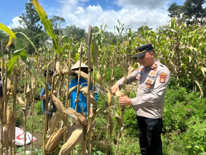 
					Kepolisian Siap Dukung, Desa di Lebong Diminta Berkoordinasi Erat