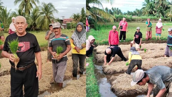 
					Sawah Pokok Murah: Solusi PDI Perjuangan untuk Petani, Sabtu (06/09/2025) di Korong Duku Nagari Pilubang Kecamatan Sungai Limau. 