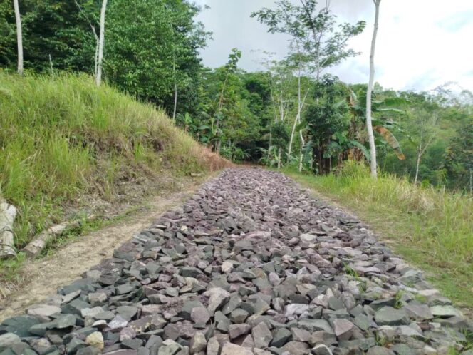 
					Jalan Makadam Desa Plumbon Wujudkan Akses Pertanian Warga