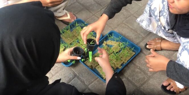 
					Praktik penanaman bibit pada sistem hidroponik vertikal oleh tim mahasiswa KKN SOLVENT ITS bersama warga Keputih Tegal Gang IX, Sukolilo, Surabaya (image courtesy: its.ac.id)