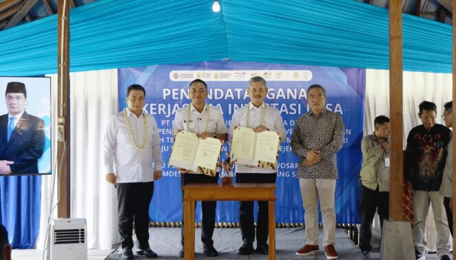 
					BUMN Dorong Ketahanan Pangan Desa lewat Investasi dan Domba