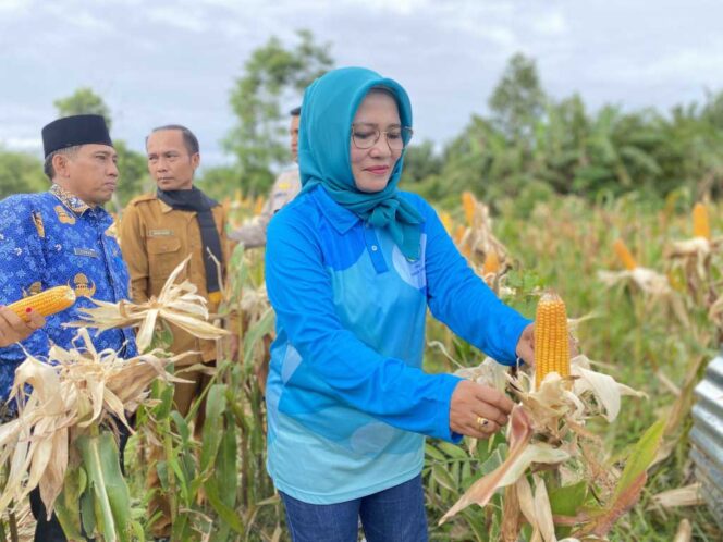 
					PKK Bengkulu Tengah Dukung Ketahanan Pangan Lewat Panen Raya