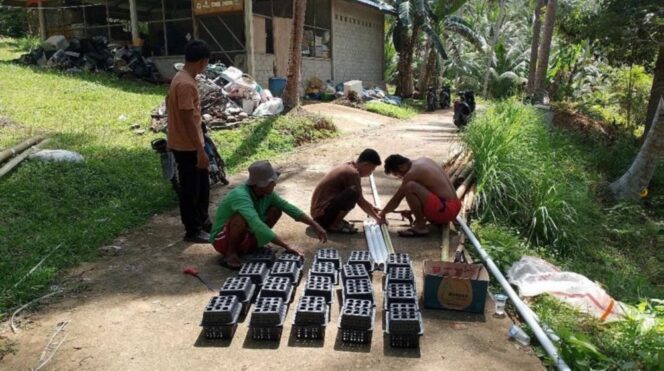 
					Warga Desa Langir Anambas Raih Pendapatan Tambahan Signifikan dari Budidaya Lebah Madu dan Ketam Bakau
