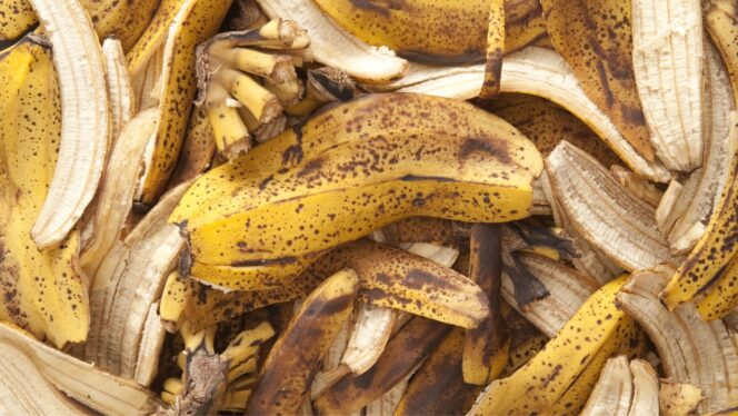 
					Limbah Kulit Pisang Jadi Selai dan Kukis Bergizi di Tasik