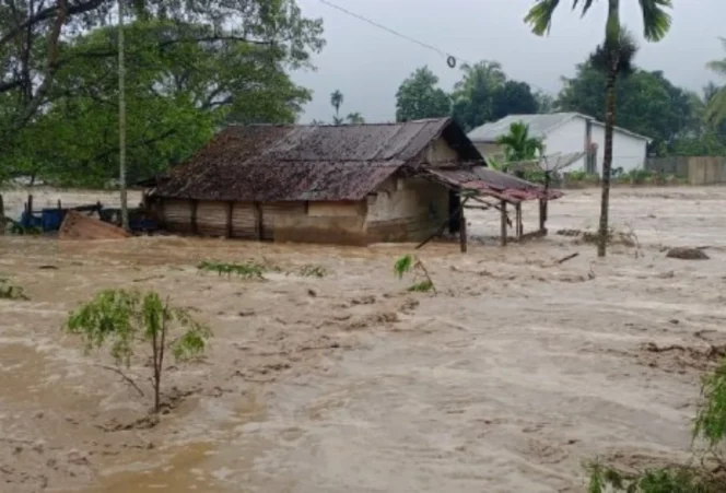 
					Bencana Aceh: 50% Lebih Desa Terdampak, 325 Wafat