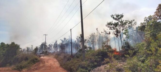 
					Kondisi kebakaran lahan di Desa Tanjung Irat, Selasa (20/1) siang. (Image courtesy: Batam Pos)