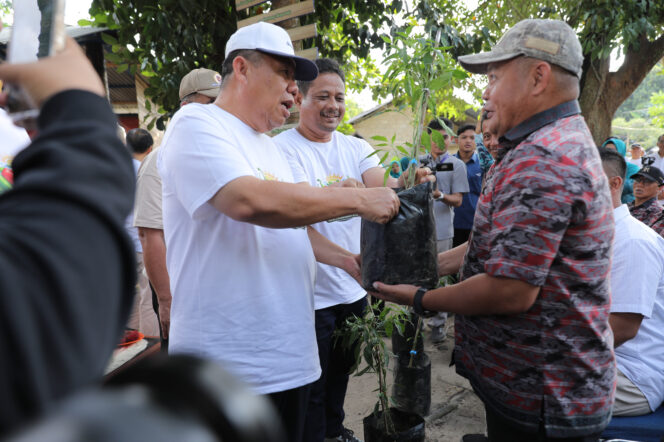 
					Cara Gubernur Babel Jinakkan Inflasi, Bagi-bagi 150 Ribu Bibit Cabai ke Dapur Warga