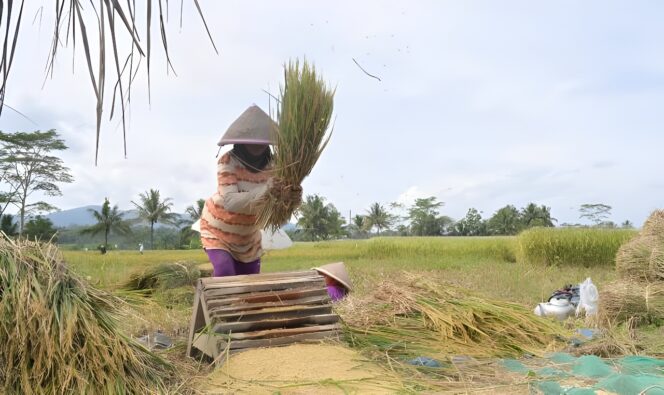
					Petani di Desa Jenggawur, Kecamatan Banjarmagu, Kabupaten Banjarnegara.