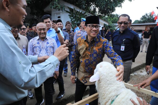 
					Mendes Yandri Targetkan Desa Domba Jadi Solusi Ketahanan Pangan
