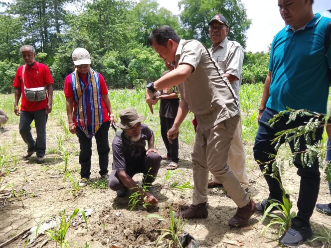 
					Penanaman Simbolis anakan Asam oleh Ketua DPC Partai Gerindra kabupaten Malaka Benny Chandra di wilayah hutan lindung Wemer, (Foto Istimewa)
