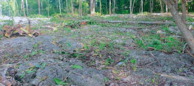 
					Pesantren Pertama di Pulau Bonerate, Selayar Segera Dibangun